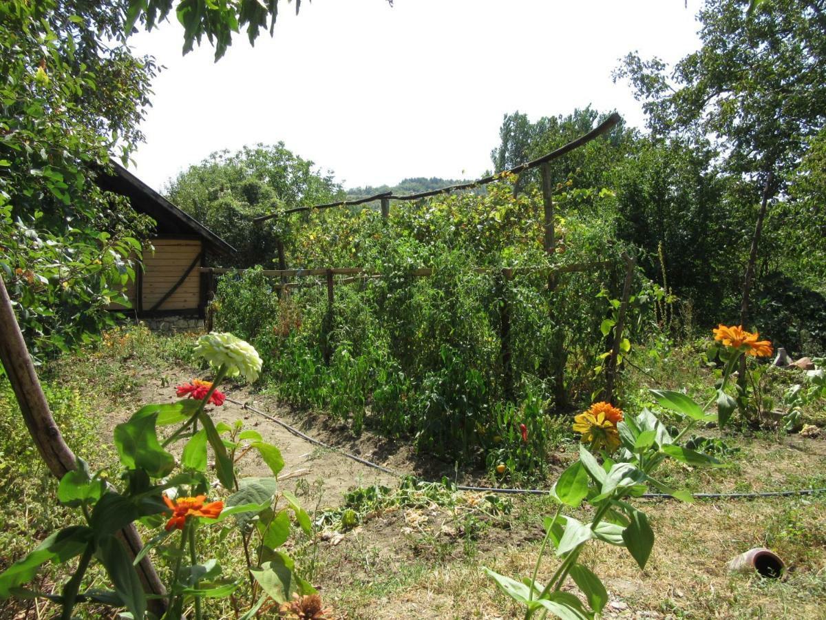 Beefree Villa Gorsko Slivovo ภายนอก รูปภาพ